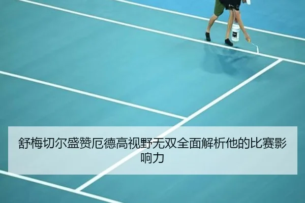 舒梅切尔盛赞厄德高视野无双全面解析他的比赛影响力